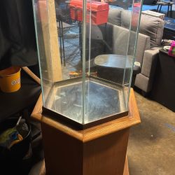 Hexagonal Aquarium/Fish tank