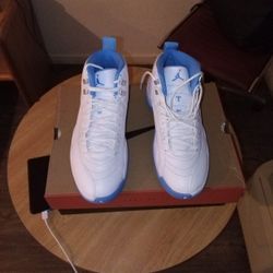 BRAND NEW AIR JORDAN RETRO MELO 12S