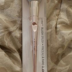 NEW NIB Wet n Wild Pro Brush Line: Blush Brush