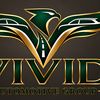 Vivid Automotive Group