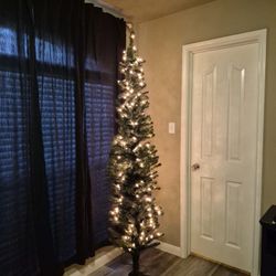 2 Xmas Trees