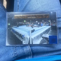 Kurt Angle & smack down Authentic ring skirt piece