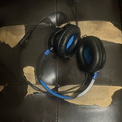 ps mic