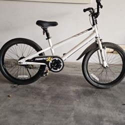 Kids 20 Inch BMX Royalbaby Brand New!