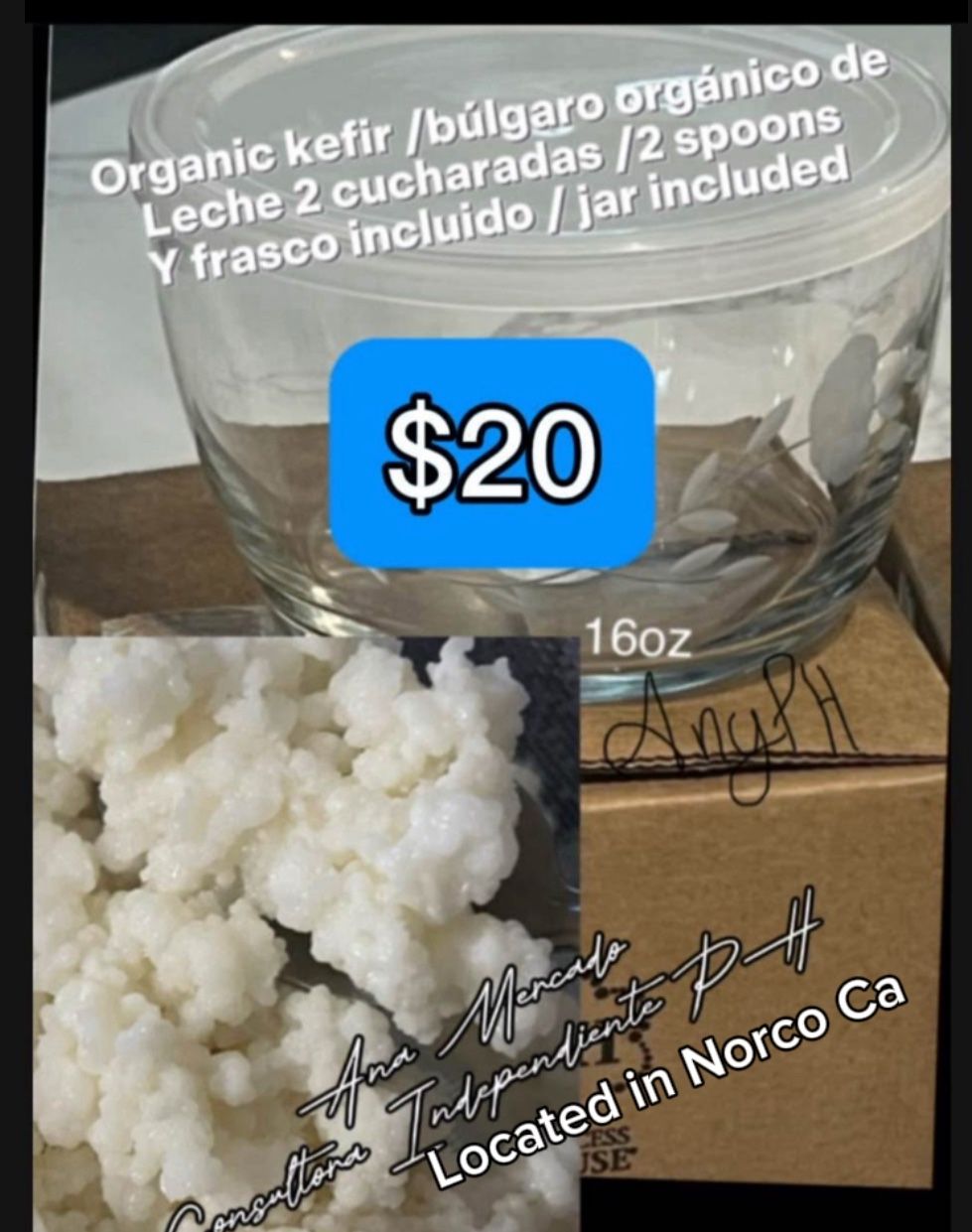 Princess House Frasco Y 2 Cucharadas De Bulgaros Lech/ Jar Plus 2 Spoon Kefir