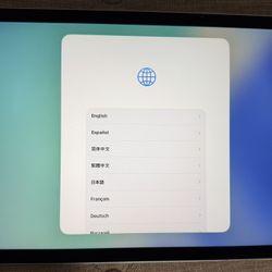 Apple iPad Air 4 256 GB -WiFi Only