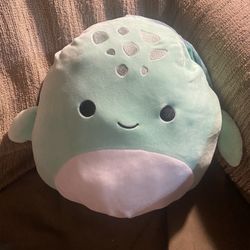Reversible Squishmallow