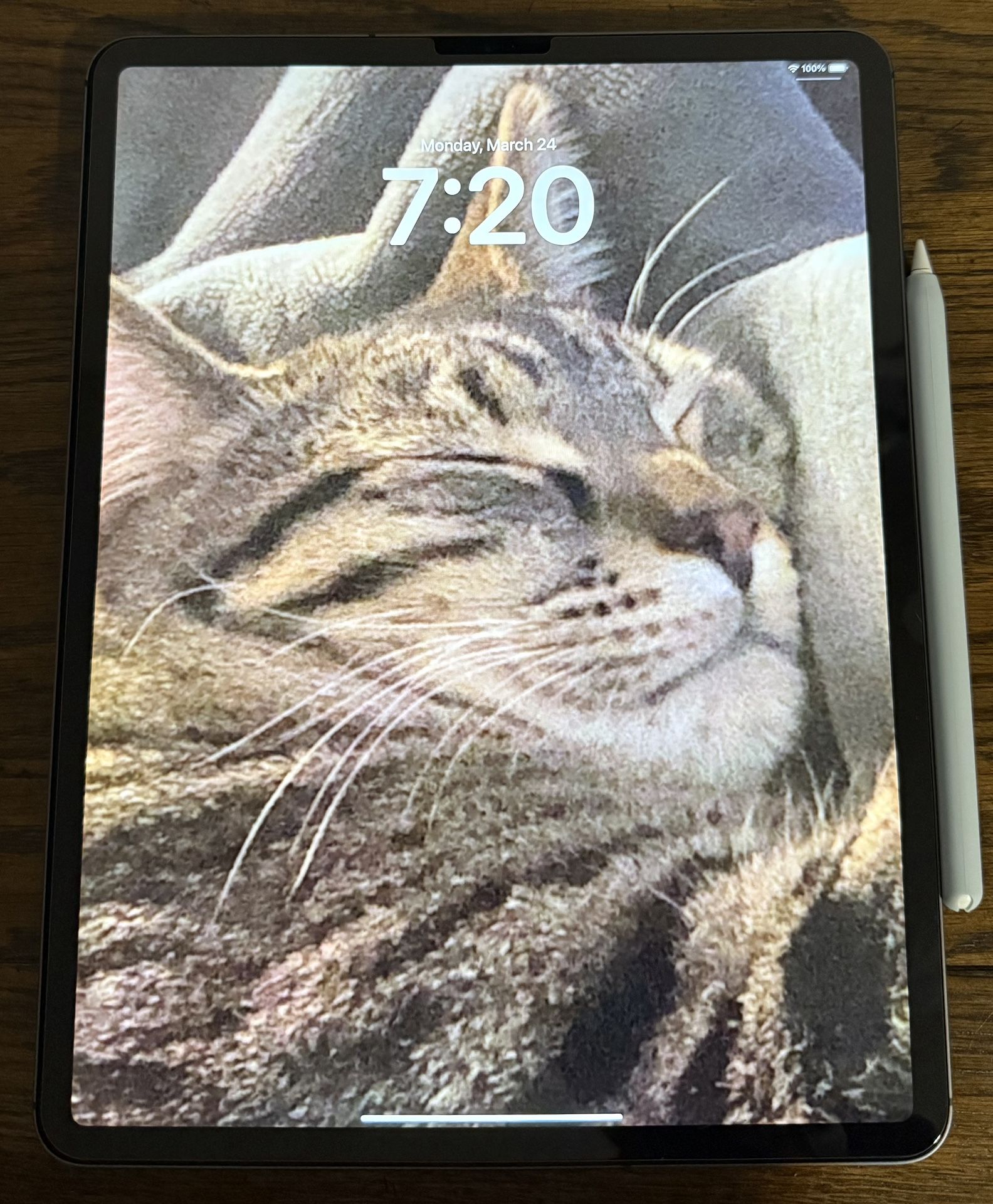 Apple iPad Pro 12.9 inch (3rd Generation)