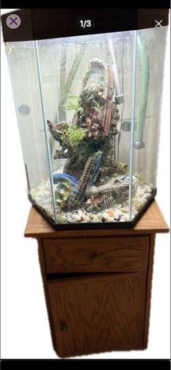 Fish tank and stand
