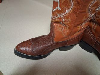 Bota  size  6/12