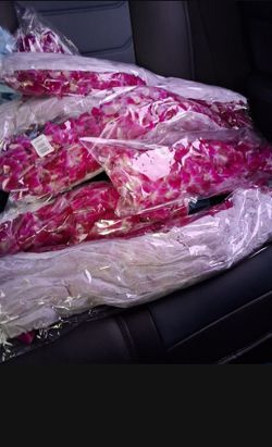Graduation Real Flower Leis NEW