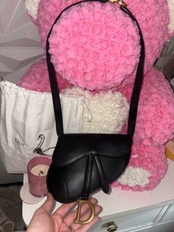 Dior saddle belt /bag