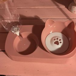 Cat Feeder Bowls