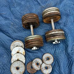 Adjustable Dumbbells
