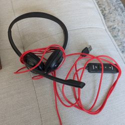 Headset With Microphone