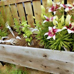 Custom Furniture, Halloween Props, Fun Stuff