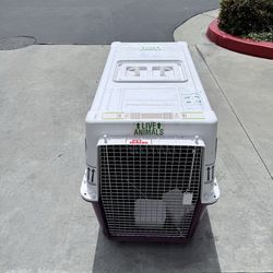 IATA airline approved dog carrier crate travel