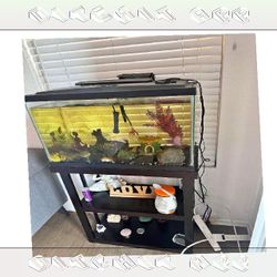 soon agree All-Set Aquarium Package - Discover Water World Magic