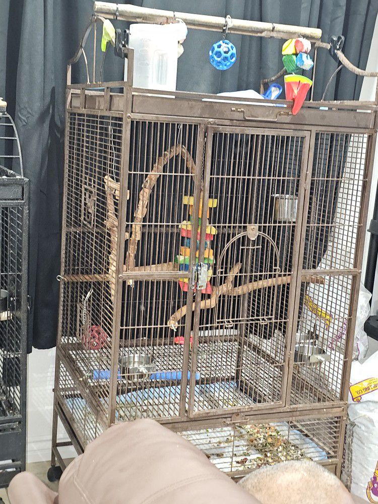 BIRD!!!!!!cage
