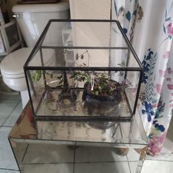 Mini Glass Greenhouse No Shipping Available 