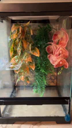 (need gone asap!!)Reptile Crested Gecko Enclosure