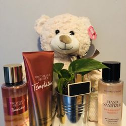 $45 Mother’s  Day Gift Set With A Live Plant And  Stuff Toys Brand New And Pick Up Gahanna