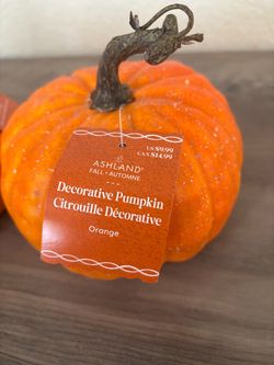 Ashland Fall Decorative Pumpkin Orange