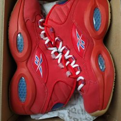  Allen Iverson REEBOK Question practice part 2  Packer shoes