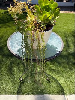 Big plant stand 20 dollars