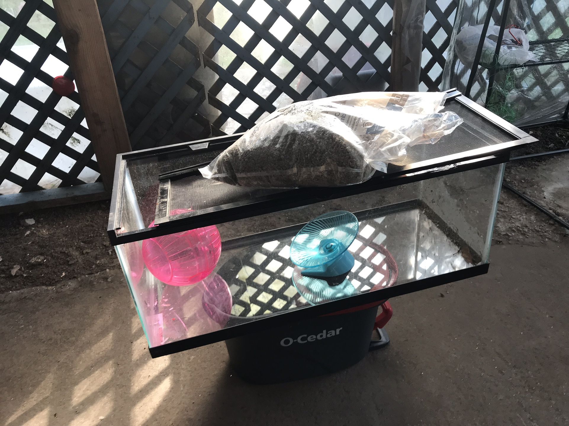 Small Animal Setup For Hamsters/gerbils….