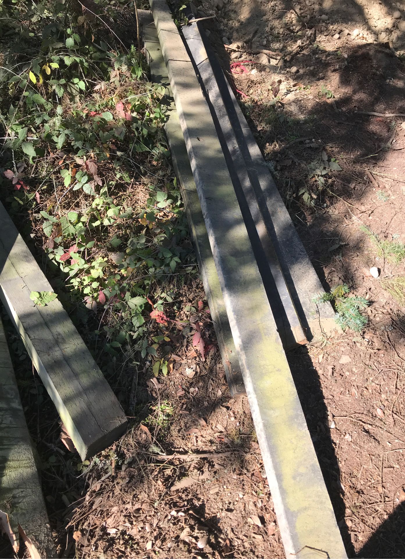 Used 2x6x10and 4x 6x8 Wanted