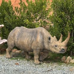 life-Size Bronze, Rhino Statue