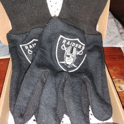 Raiders  Driving Gloves