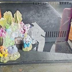 5 Gallon Fish Tank 