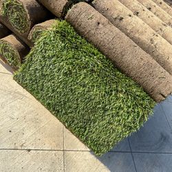 Marathon 2 Sod For Sale