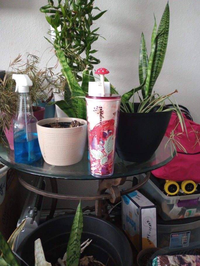 Starbucks Venti Enchanted Forest Tumbler