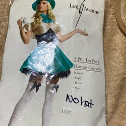 Tea Party Hostess Costume. Adult 