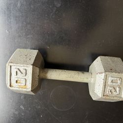 20 Pound Weight 
