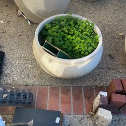 Huge Big Pots 21-23 Is Inches 8 Total