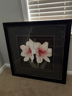 Large Glass Framed Art White Flower ~35”x35”