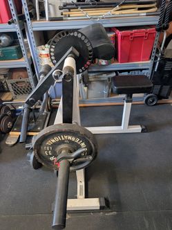 Body Solid Bicep Tricep Machine
