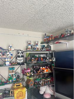 Entire Lego Minecraft collection