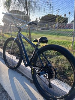 C3 (29er)