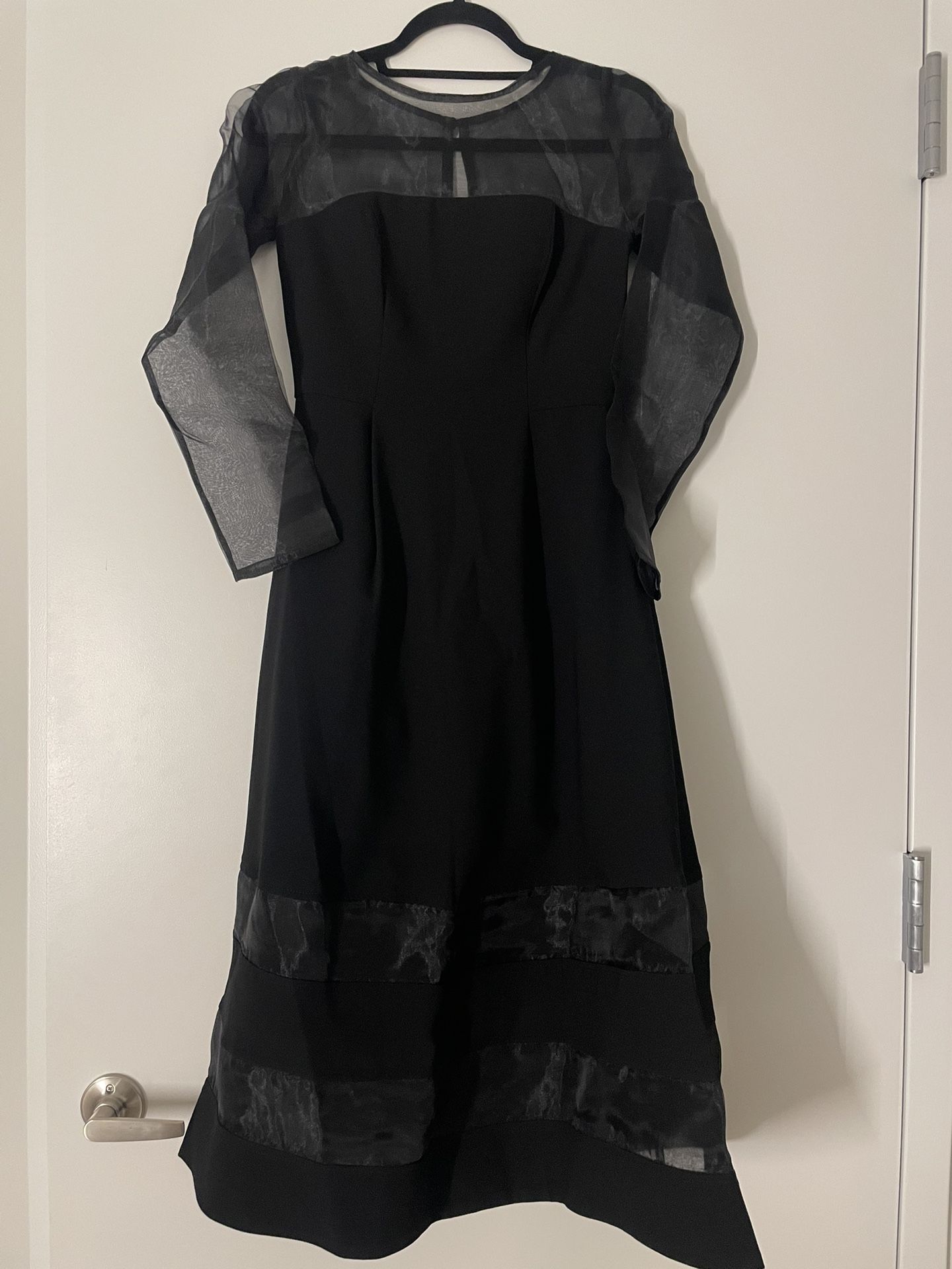 Black Fit and Flare Dress with Sheer Sleeves