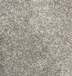 Carpet special
