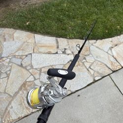 Seeker OSP 2x4 + Penn International Visx 16