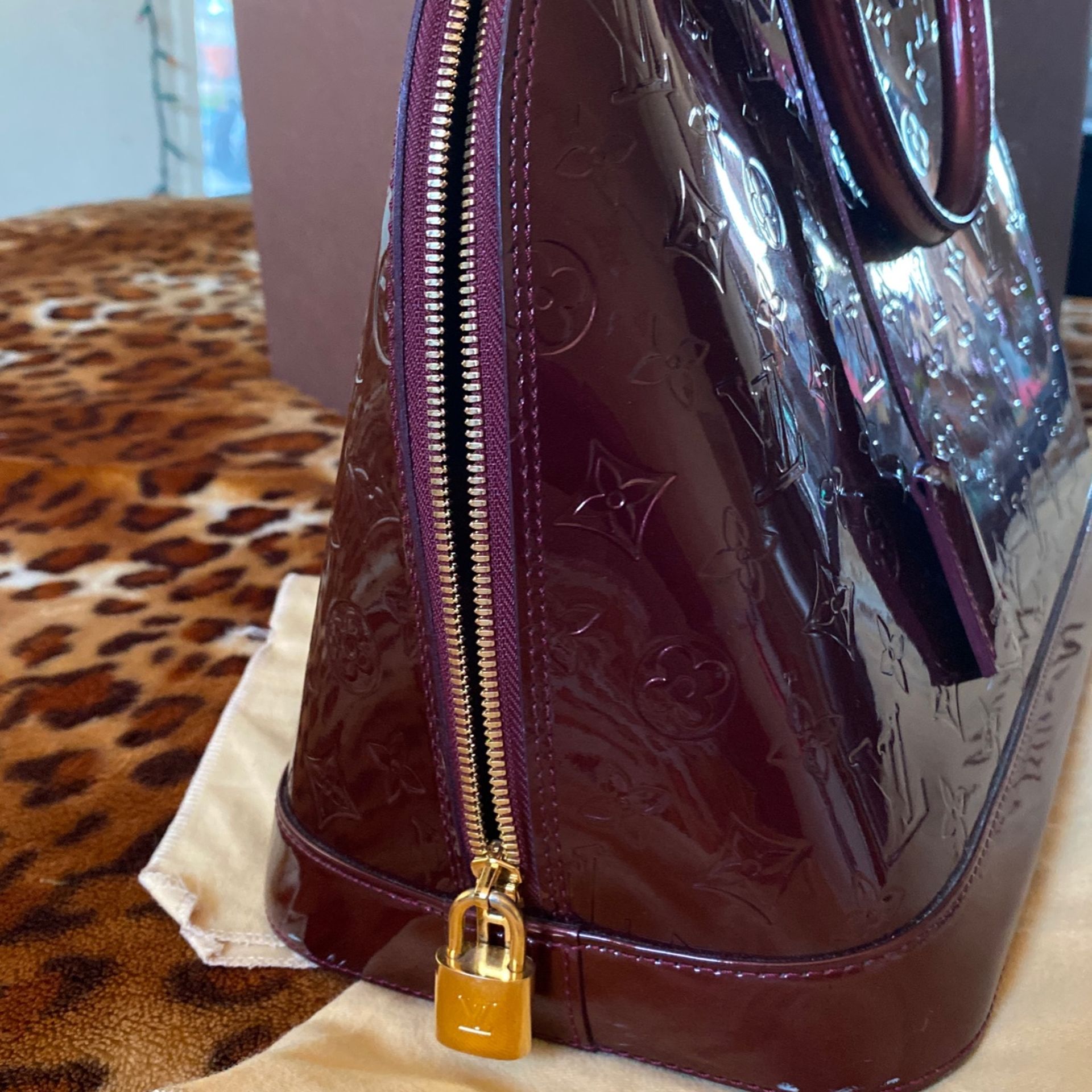 Louis Vuitton Bag Clothing