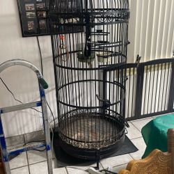 Bird Cage 