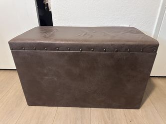Storage Trunk