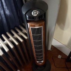 Fan